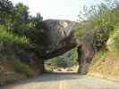 Tunnel Rock im Sequoia National Park (7. Mai)