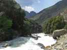 South Fork Kings River im Kings Canyon National Park (7. Mai)