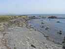 Pazifikküste zwischen Point San Simeon und Point Piedras Blancas (8. Mai)