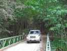 Old Coast Road im Los Padres National Forest (8. Mai)