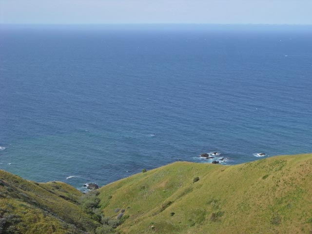 Pazifikküste zwischen Jenner und Fort Ross (11. Mai)