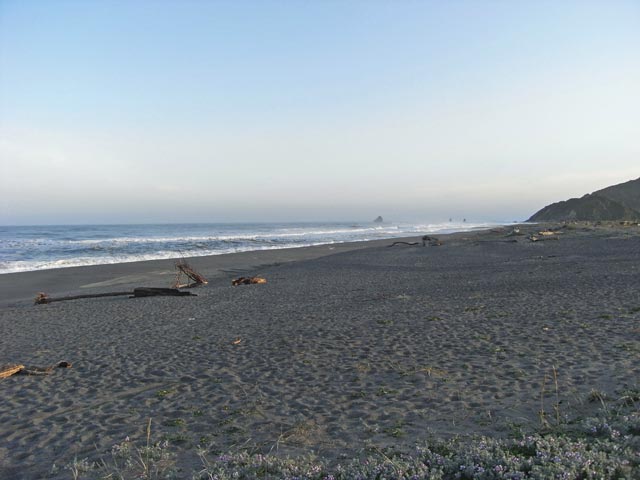 Pazifikküste beim Patricks Point (12. Mai)