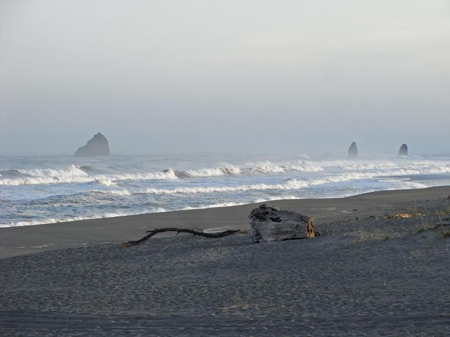 Pazifikküste beim Patricks Point (12. Mai)