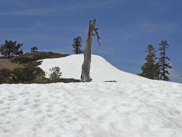 beim Sierra Buttes Jeep Trail (13. Mai)