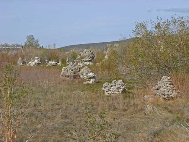 beim Mono Lake (14. Mai)