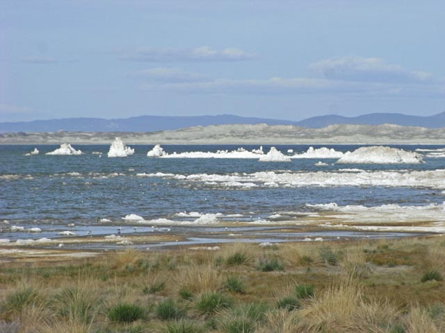 Mono Lake (14. Mai)