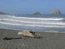 Wilson Creek Beach im Redwood National Park (12. Mai)