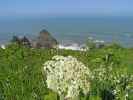 Pazifikküste vom High Bluff Overlook im Redwood National Park aus (12. Mai)