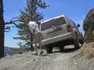 Papa am Sierra Buttes Jeep Trail (13. Mai)