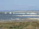 Mono Lake (14. Mai)