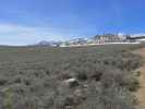 Coyote Flat im Inyo National Forest (15. Mai)