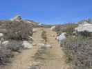 Coyote Flat Jeep Trail im Inyo National Forest (15. Mai)