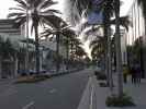 Rodeo Drive in Beverly Hills (16. Mai)