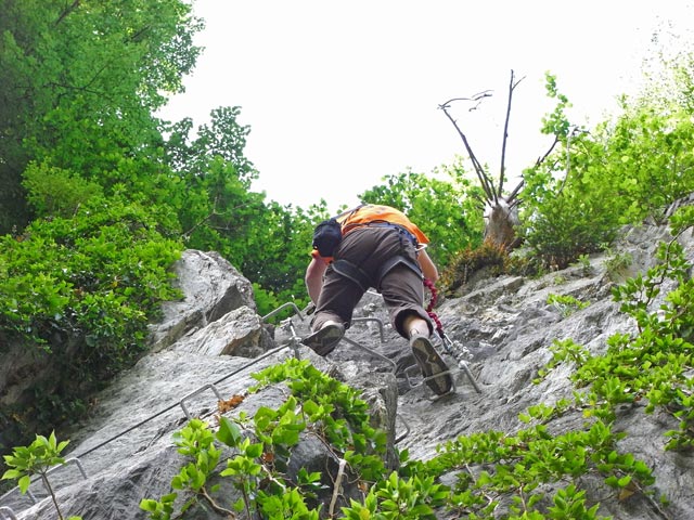 Huterlaner-Klettersteig: Axel in der 'Efeuplantage'