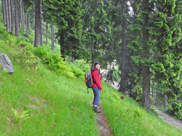 Irene zwischen Beeralplstall und Schmidlruhe