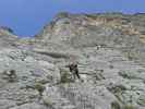 Via Ferrata Che Guevara: Axel im Hauptteil