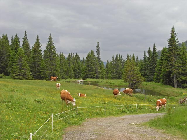 beim ASKÖ-Schiheim (27. Juni)