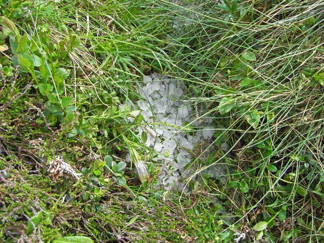 zwischen Pölseck und Pölseckjoch (28. Juni)