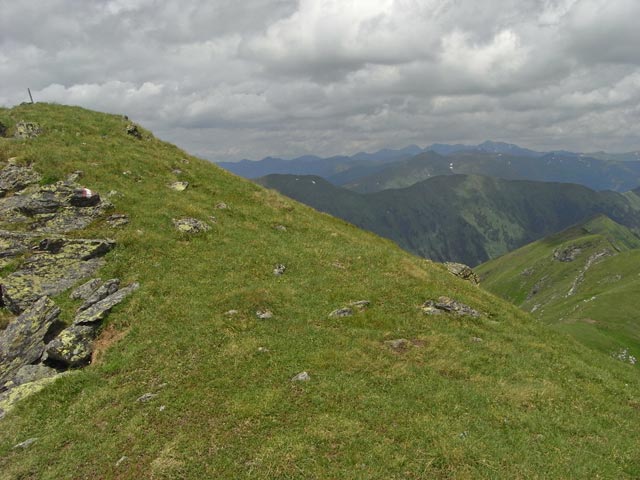 zwischen Schönfeldspitz und Pustereckjoch (28. Juni)