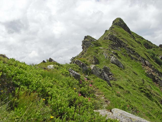 zwischen Pustereckjoch und Gangkogel (28. Juni)