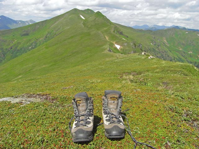 Gangkogel (28. Juni)