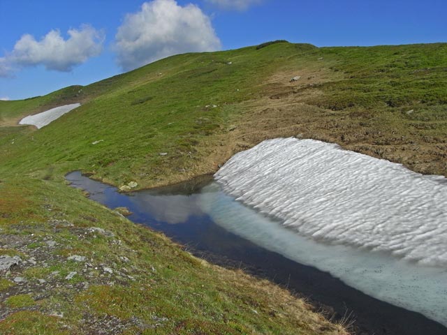 zwischen Kreuzkogel und Großer Windlucke (29. Juni)
