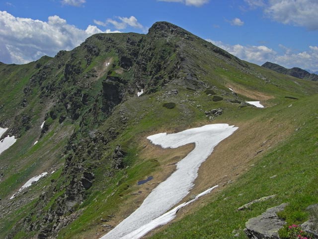 Schattnerzinken (29. Juni)