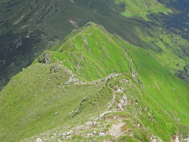 zwischen Hochschwung und Großem Geierkogel (29. Juni)