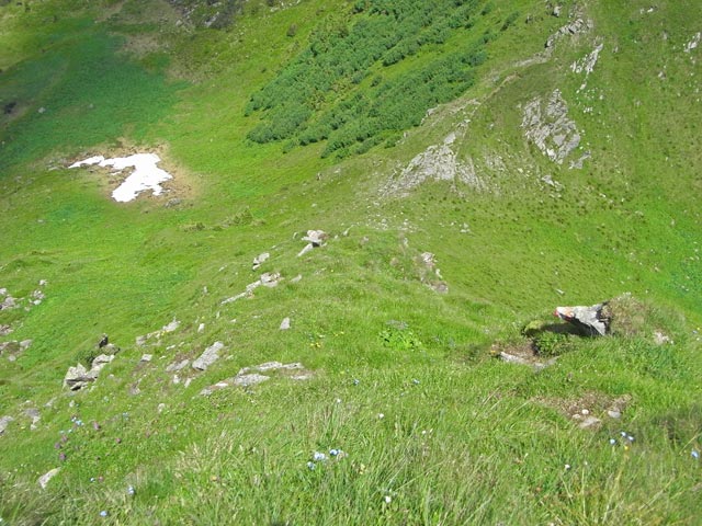 zwischen Großem Geierkogel und Kleinem Geierkogel (29. Juni)