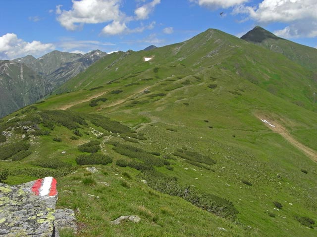 zwischen Kleinem Geierkogel und Zinkenkogel (29. Juni)