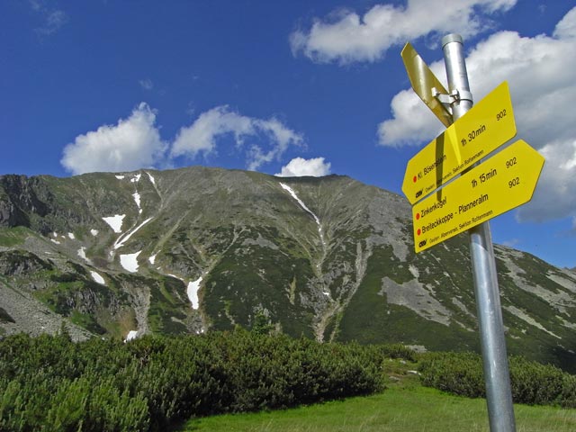 Perwurzpolster (29. Juni)