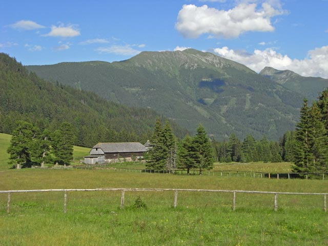 Pölsenhube, 1.258 m (29. Juni)