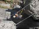 ÖTK-Klettersteig Pirkner Klamm: Christoph auf der dritten Seilbrücke (6. Juli)