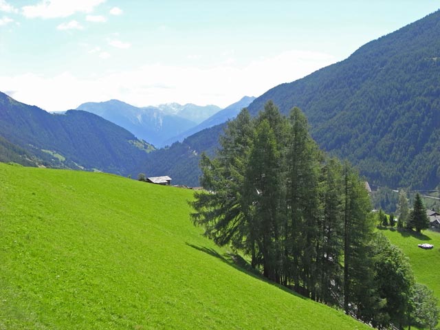 Oberbichler (24. Juli)