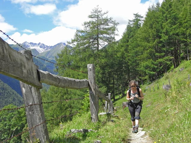 Irene am Blumenweg im Bichler Wald (24. Juli)
