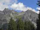 Wasenwand und Hammerspitze vom Herzebenwald aus (16. Aug.)