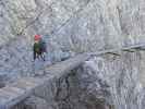 Via Ferrata Ivano Dibona: Daniela zwischen Cresta Bianca und Forcella Padeón (31. Aug.)