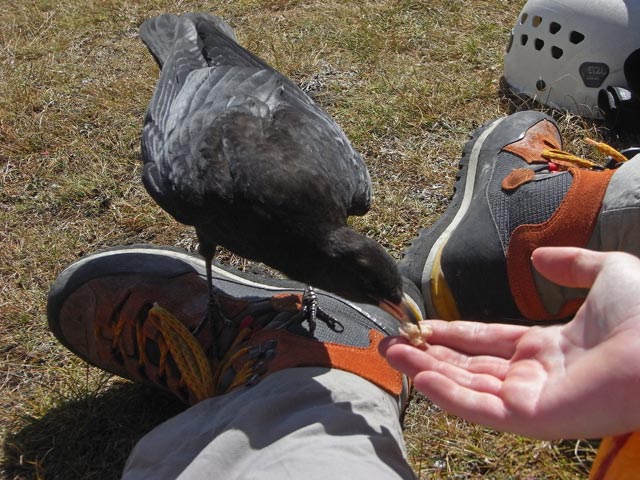 in der Gro&szlig;en Latemarscharte, 2.650 m