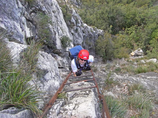 Fennberg-Klettersteig: Daniela auf der ersten Leiter