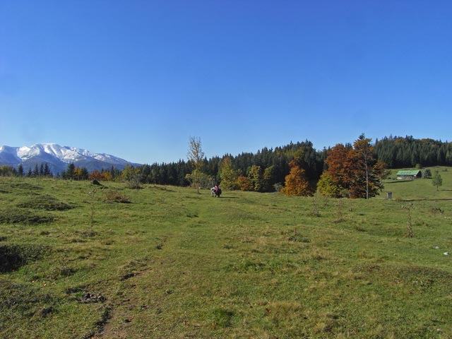 Christoph auf der Bürgeralpe