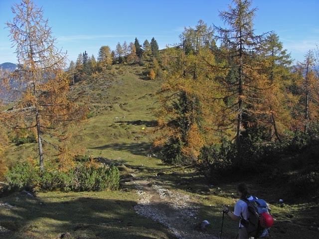 Daniela auf Weg 825 zwischen Scheibenbühelberg und Ranggenalm (12. Okt.)