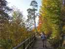 Daniela auf Weg 801 zwischen Kaiserstiege und Gasthaus Veitenhof (10. Okt.)