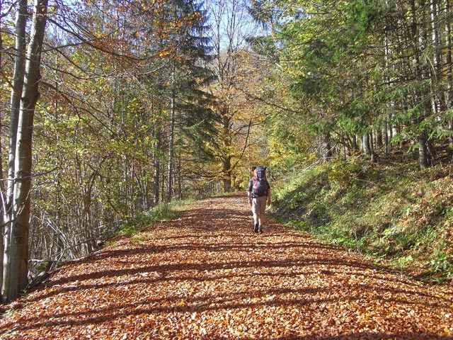 Norbert auf Weg 648 zwischen Kalkofenanger und Scheibenbauerntal (18. Okt.)