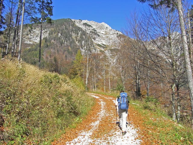 Daniela auf Weg 648 zwischen Scheibenbauerboden und Erltal (18. Okt.)