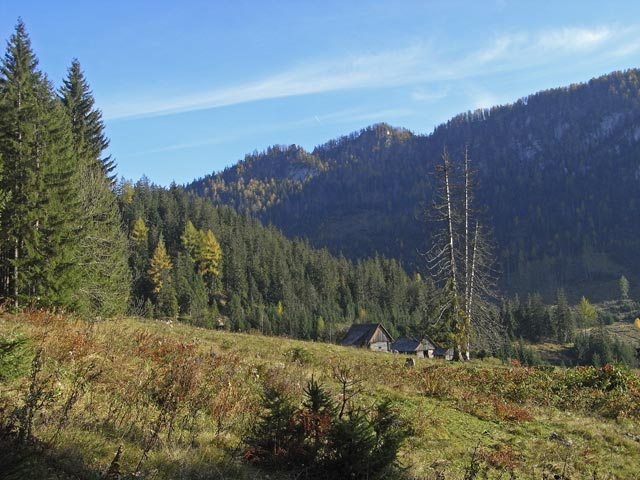 Hörantalm, 934 m (19. Okt.)