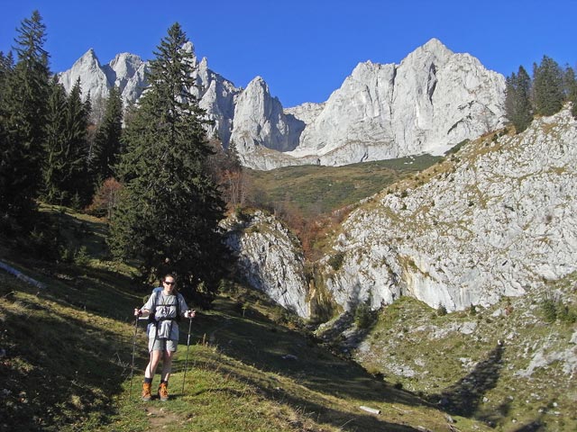 Daniela auf Weg 817 im Spitaler Wald (26. Okt.)