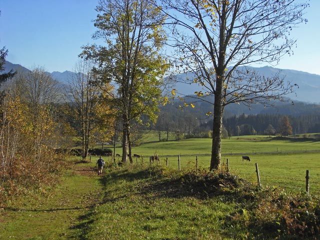 Daniela in Aschau (26. Okt.)