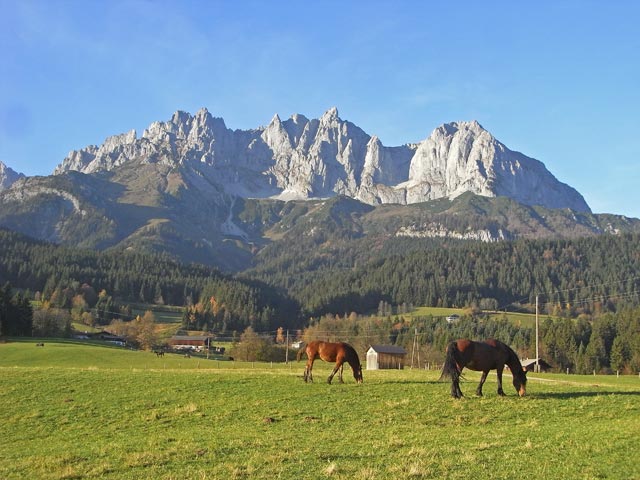 Regalpspitze, Ackerlspitze und Maukspitze von Reisch aus (26. Okt.)