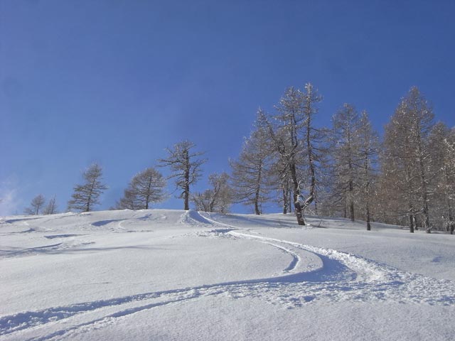 neben der Paradiesabfahrt (28. Dez.)
