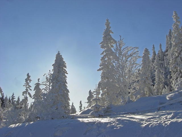 bei der Bergstation der Panoramabahn